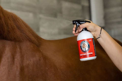 Grzywa i Ogon – Produkt ułatwiający rozczesywanie i nadający blask 500ml