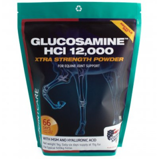 GLUCOSAMINE HCI 12,000 1kg (zapas na 66 dni)