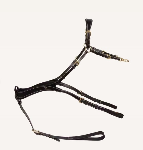 Anatomiczny skórzany napierśnik Dy'on D Collection