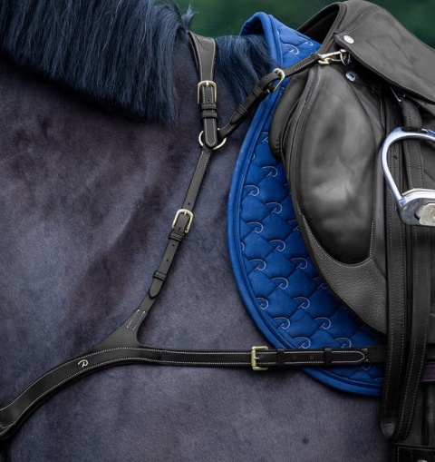 Anatomiczny skórzany napierśnik Dy'on D Collection