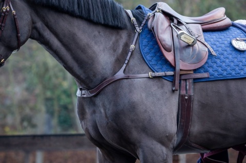 Anatomiczny skórzany napierśnik Dy'on D Collection