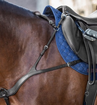 Anatomiczny skórzany napierśnik Dy'on New English