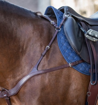 Anatomiczny skórzany napierśnik Dy'on New English