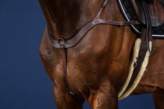 Anatomiczny skórzany napierśnik Dy'on US Jumping