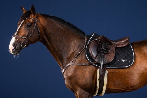 Anatomiczny skórzany napierśnik Dy'on US Jumping