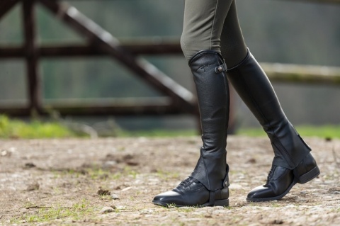 Czapsy Dy'on Classic Half Chaps