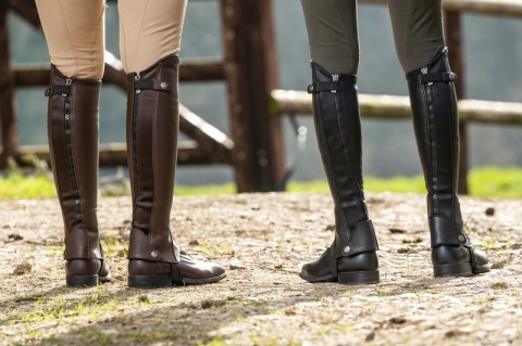 Czapsy Dy'on Classic Half Chaps