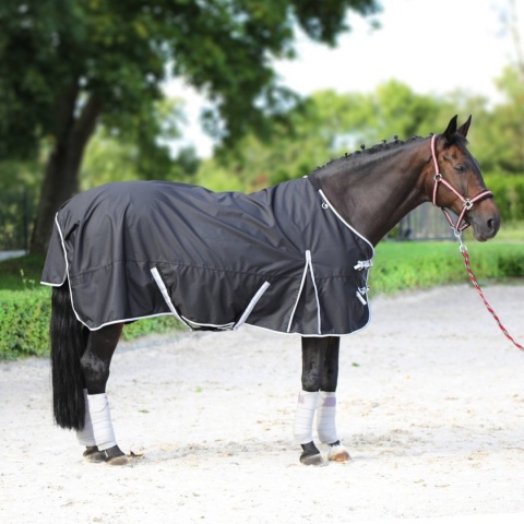 Derka padokowa York Demi