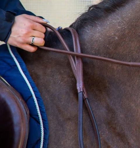 Gumowe wodze 1/2" Dy'on D Collection