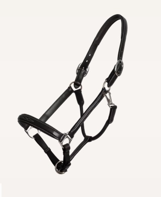 Kantar skórzany Dy'on Fancy