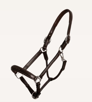 Kantar skórzany Dy'on Fancy