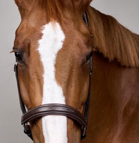 Kantar skórzany Dy'on Fancy