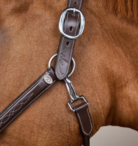 Kantar skórzany Dy'on Fancy