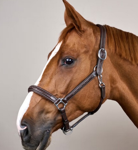 Kantar skórzany Dy'on Fancy