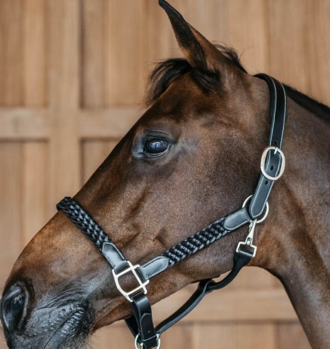 Kantar skórzany Dy'on Plaited