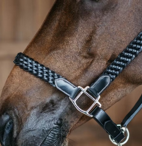 Kantar skórzany Dy'on Plaited