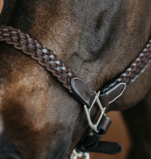 Kantar skórzany Dy'on Plaited