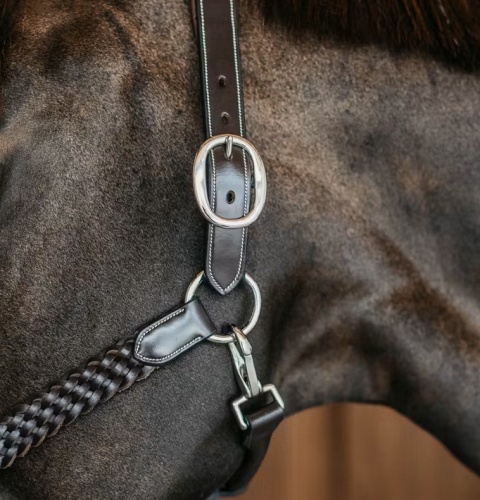 Kantar skórzany Dy'on Plaited