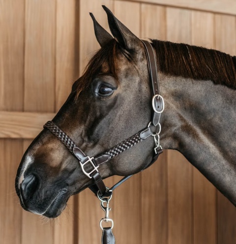 Kantar skórzany Dy'on Plaited