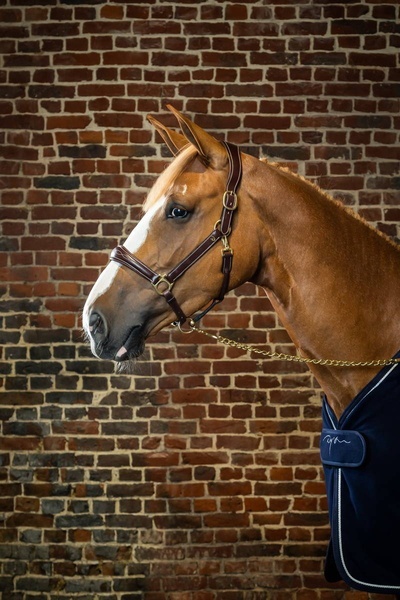 Kantar skórzany Dy'on Leather