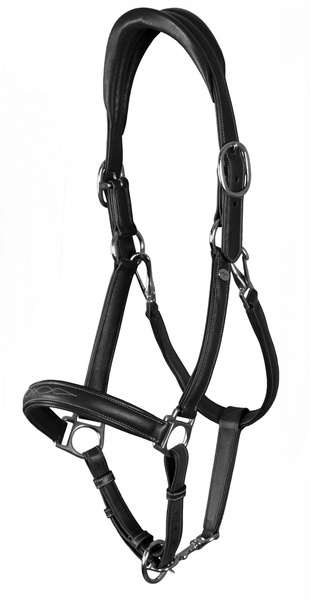 Kantar skórzany Dy'on Soft Leather