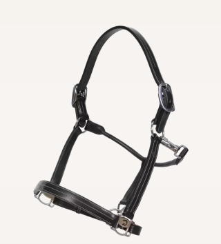 Kantar skórzany Dy'on US