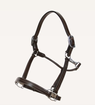 Kantar skórzany Dy'on US