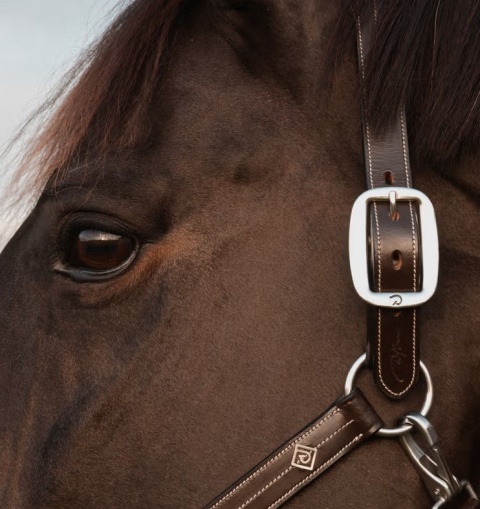 Kantar skórzany Dy'on US