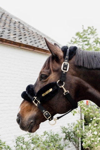 Kantar z syntetycznym futerkiem Kentucky