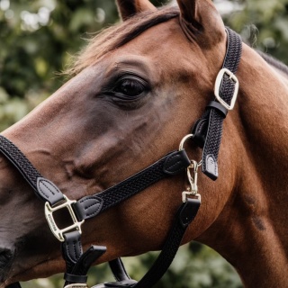 Kantar Kentucky Nylon