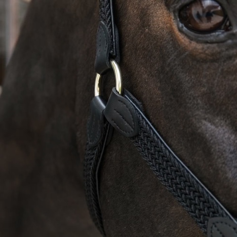 Kantar Kentucky Nylon