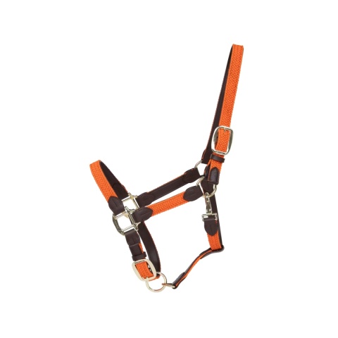 Kantar Kentucky Nylon