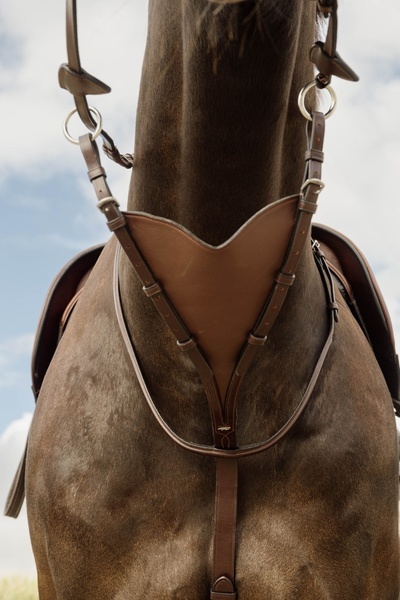 Miękki wytok Dy'on Soft Leather BIB Martingale New English