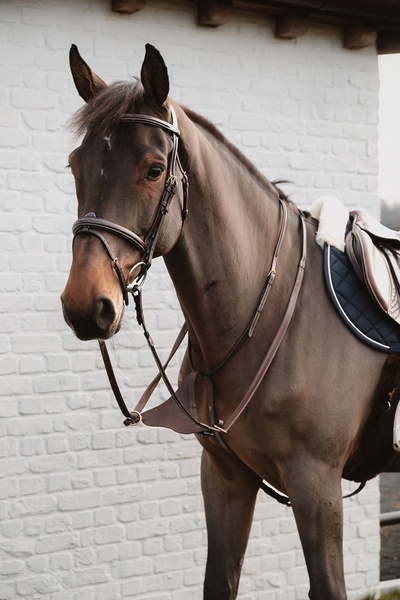 Miękki wytok Dy'on Soft leather BIB Martingale D Collection