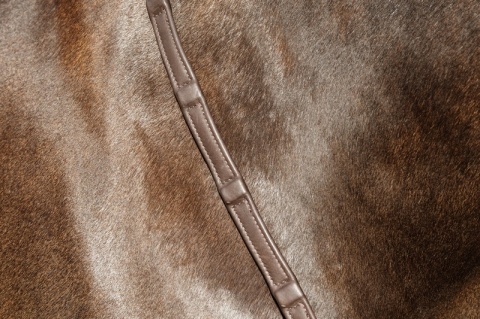 Miękkie skórzane wodze 1/2" Dy'on Working z 8 zintegrowanymi stoperami