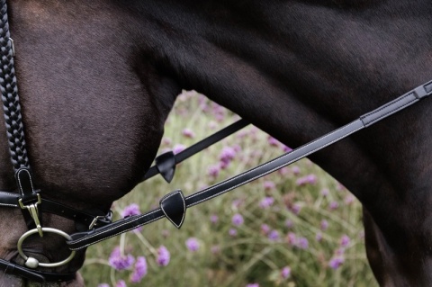 Miękkie skórzane wodze 1/2" Dy'on Working z 8 zintegrowanymi stoperami