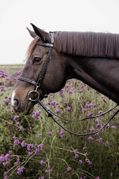 Miękkie skórzane wodze 1/2" Dy'on Working z 8 zintegrowanymi stoperami