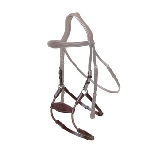 Nachrapnik Dy'on Elastic Hybrid New English