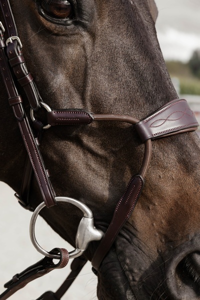 Nachrapnik Dy'on Elastic Hybrid New English