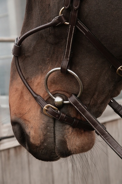 Nachrapnik Dy'on Hybrid D Collection