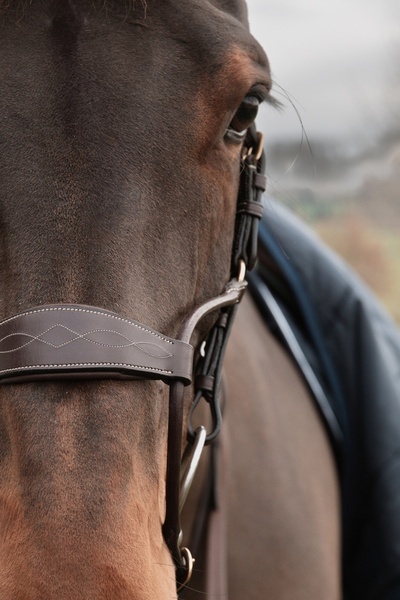 Nachrapnik Dy'on Hybrid D Collection