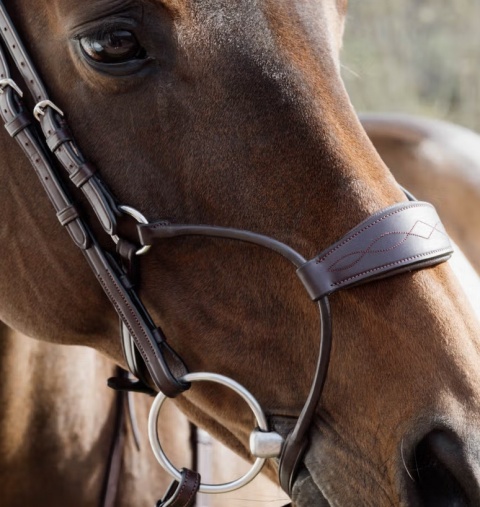 Nachrapnik Dy'on Hybrid New English