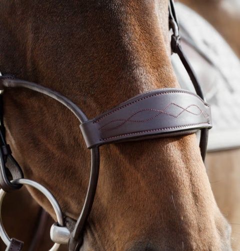 Nachrapnik Dy'on Hybrid New English