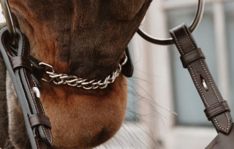 Nachrapnik Dy'on w kształcie 8 z łańcuszkiem