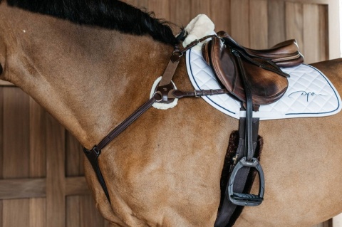 Napierśnik skórzany Dy'on 5-punktowy D Collection