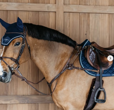 Napierśnik skórzany Dy'on 5-punktowy D Collection