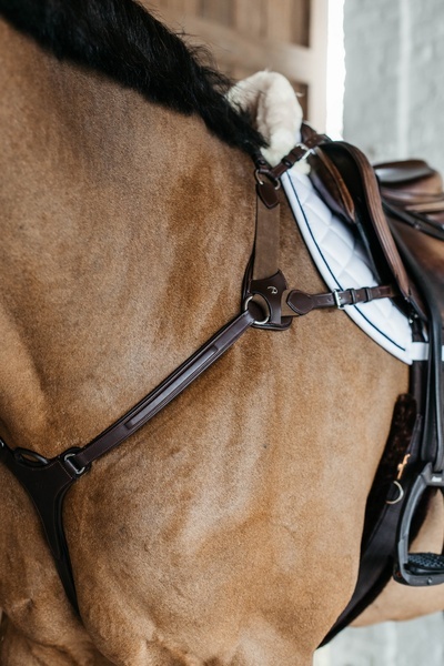 Napierśnik skórzany Dy'on 5-punktowy D Collection