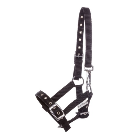 Nylonowy kantarek źrebięcy Kavalkade