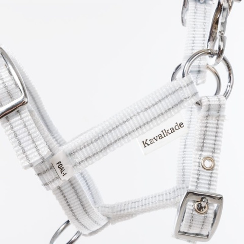 Nylonowy kantarek źrebięcy Kavalkade