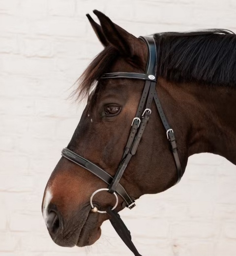 Ogłowie myśliwskie Dy'on Cavesson Hunter - wszechstronne